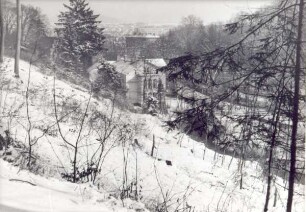 Bismarckhain im Frühjahr / Blick in die Allee. Detmold. Allee. Papierabzug