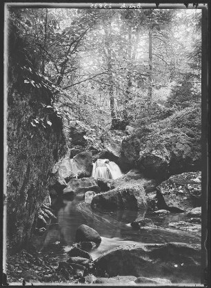 Bad Gottleuba-Berggießhübel. Gottleubatal