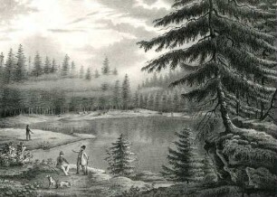 Der Wildsee [beim Ruhestein], eine Stunde von Rippoldsau