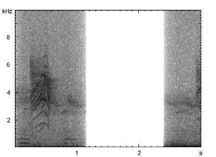 Bergfink | Fringilla montifringilla - Ruf, Gesang