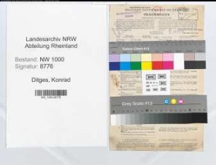 Entnazifizierung Konrad Ditges, geb. 23.10.1901 (Steuerberater)