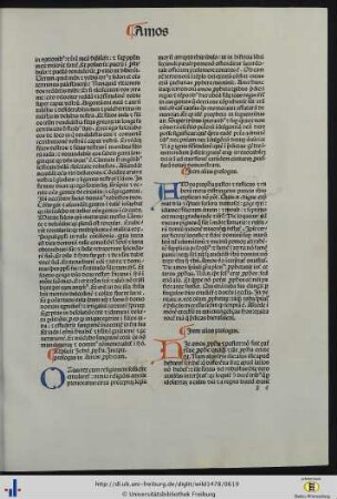 Prologi in Amos prophetam