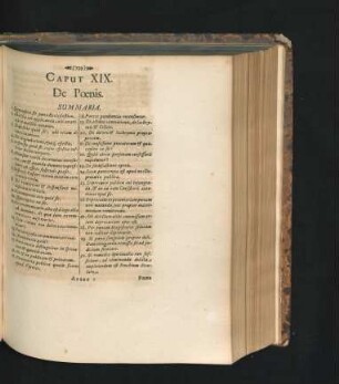 Caput XIX. De Poenis.