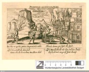 Periculo Alieno Sapere : Hohen Wyhl am Bodensee