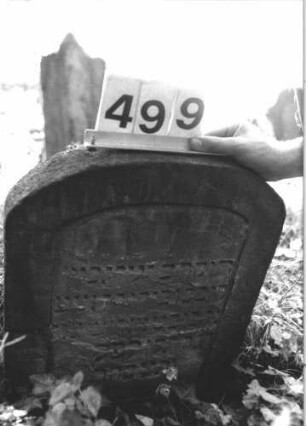 Grabstein 499