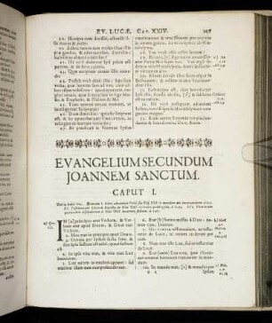 Evangelium Secundum Joannem Sanctum.