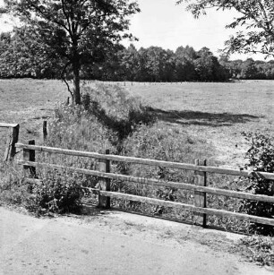 Tremsbüttel-Dorf: Grootbek: verkrauteter Bach: vorn Straße mit Geländer: links Baum: im Hintergrund Gehölz