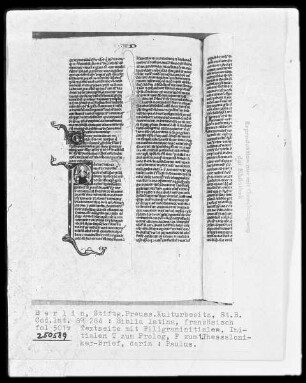 Biblia latina — Initiale P, darin Paulus mit Schwert, Folio 501verso