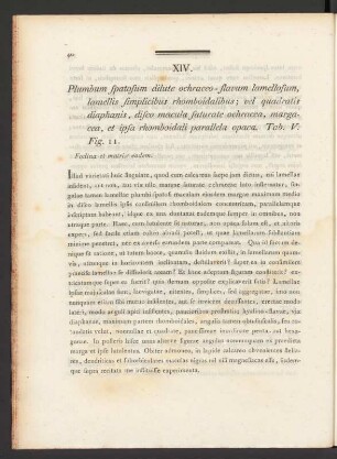 XIV. Plumbum spatosum dilute ochraceo-flavum lamellosum, lamellis simplicibus rhomboidalibus; vel quadratis diaphanis, ... Tab. V. Fig. 11