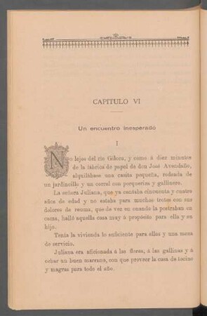 Capítulo VI - Un encuentro inesperado