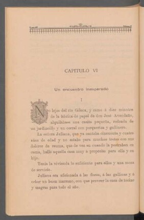 Capítulo VI - Un encuentro inesperado