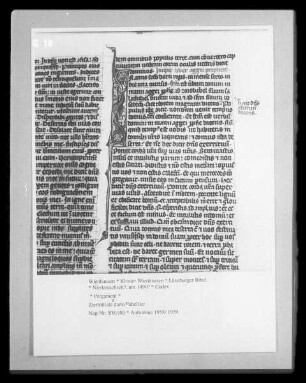 Lüneburger Bibel — Zierinitiale darin Fabeltier