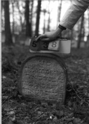 Grabstein 538 (Index: 100115404) Material: Sandstein Zustand: verwitttert Maße HxBxT: 51x41x10 cm Beschreibung: Stele mit Rundbogenabschluß, eingetieftes Schriftfeld Besonderheit: Kindergrab: Grabstein 538 (Doppel von 76386)