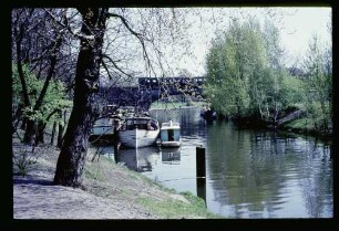 Chlttbg. Tiergarten 2.5.65.