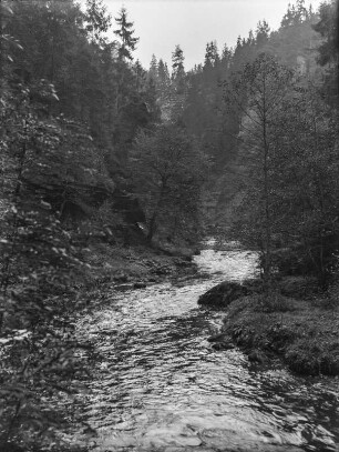 Im Kamnitztal : Der Lauf eines Baches im Kamnitztal.