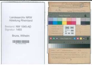 Entnazifizierung Wilhelm Bruns , geb. 16.09.1909 (Angestellter)