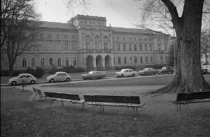 Wiederaufbau der Landessammlungen für Naturkunde am Friedrichsplatz
