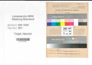 Entnazifizierung Heinrich Trippe , geb. 11.03.1897 (Betriebsfuehrer)