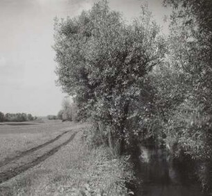 Floßgraben bei Pegau