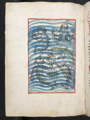 Meerwunder: u.a. Sirene, Krebs, Fisch; (Teil III C: Von den Meerwundern)