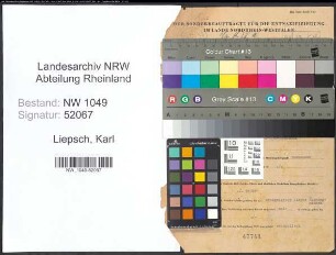 Entnazifizierung Karl Liepsch , geb. 27.03.1891 (Regierungsrat)