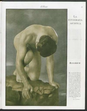 La fotografía artística : Bronce