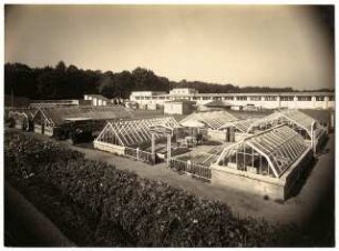 Deutsche Gartenbau- und Schlesische Gewerbe-Ausstellung (GUGALI), Liegnitz: Gewächshausbauten