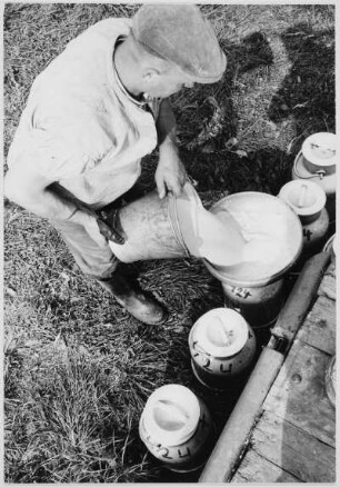 Umfüllen von Milch