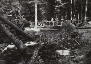 Dresdner Heide, Prießnitz : Dresden, Prießnitz, Notsteg, Hochwasser 1927