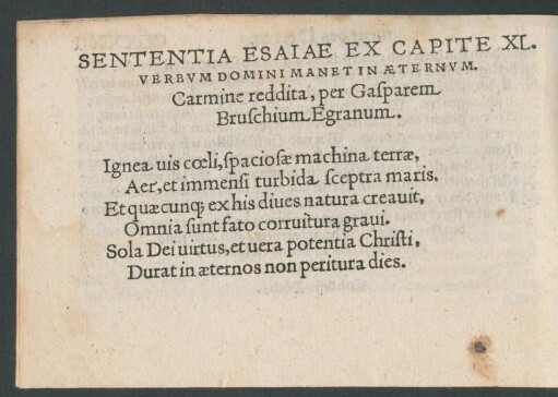 Sententia Esaiae Ex Capite XL.