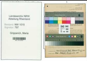 Entnazifizierung Maria Gripparich , geb. 06.12.1895 (Schneiderin)