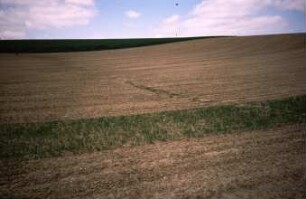 Fotografie: Pflanzenproduktionsverfahren, Wendende Bodenbearbeitung, Erosion, Umweltschutz