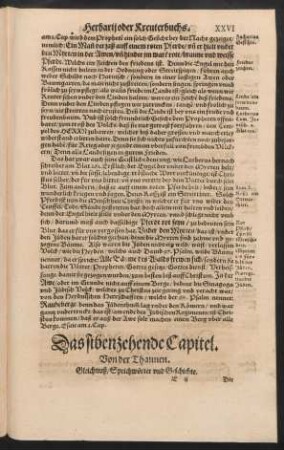 Das sibenzehende Capitel. Von der Thannen.