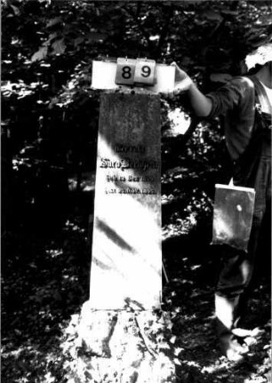 Grabstein 89 (Index: 100109462) Material: Sandstein oder Marmor (?), Sockel Kalkstein Zustand: Abschluß beschädigt Maße HxBxT: 160x39x25 cm Beschreibung: Obelisk, Sockel rustica Steinmetz: Beerli Besonderheit: Nummer auf Rückseite: 196: Grabstein 89
