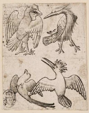 Vier Vögel