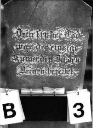 Grabstein 3 (Index: 99792876) Material: Marmor Zustand: sehr gut Maße HxBxT: 136x32x10 cm Beschreibung: Stele, Sockel profiliert, Abschluß giebelartig, Schriftfeld eingetieft, Abschluß Sonderform Symbolik: sechszackiger Stern: Grabstein 3B