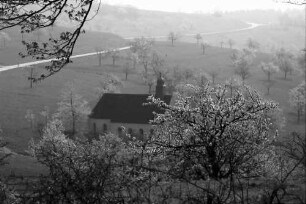 Ebringen: Blütenpracht an der Berghauser Kapelle