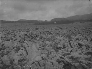 Fladenlava : Blick über eine Ebene am Fuße des Vulkans Nyamuragira, die mit Fladenlava bedeckt ist
