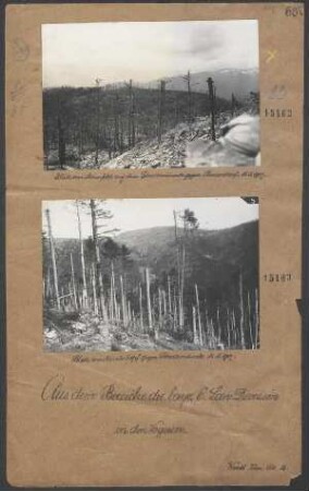 Blick vom Minenfeld auf dem Schratzmännle gegen Barrenkopf 15.05.1917