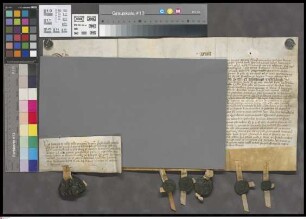 Bingen: Turnus nominandi ad praebendas et vicariam