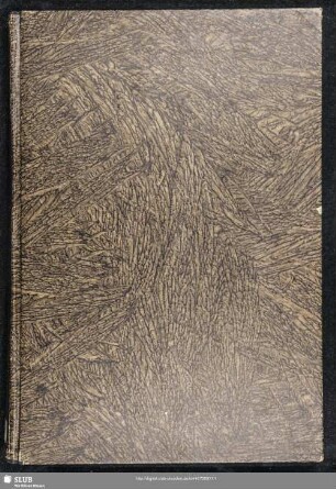 Chroniken - Mscr.Dresd.J.49