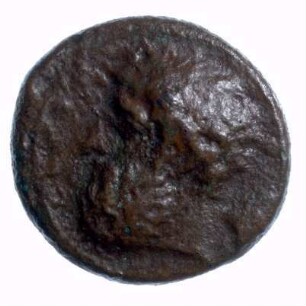 Münze, ca. 344 - 336 v. Chr.