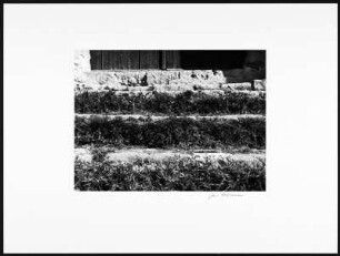 Segovia (?), Madrid (?) . Mit Gras bewachsene Stufen vor einem Eingang oder einer Holztür (?)
