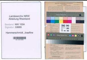 Entnazifizierung Josefine Hammerschmidt , geb. 27.08.0000 ()