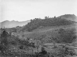 Vegetationsansicht : Vegetation eines Gebirges