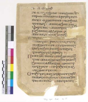 Lk. VI, 8 - 10