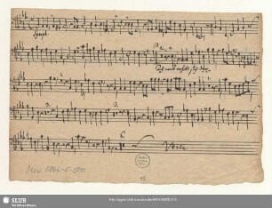 [Violone?]