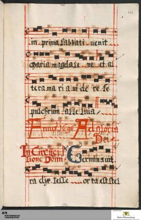 Nachtrag von gleicher Hand: Terz-Antiphonen von "In Circumcisione Domini" bis "Dominica palmarum"