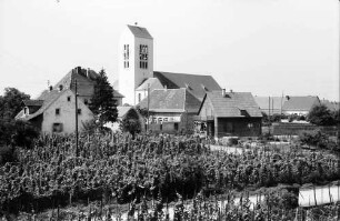 Neuenburg: Kirchturm; Vordergrund Weinbau