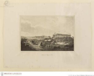 Blick auf die Tempel von Paestum